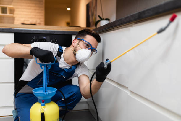 Best Pest Control for Businesses  in Oildale, CA