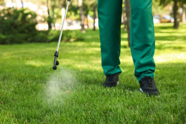 Best Wasp Removal Services  in Oildale, CA