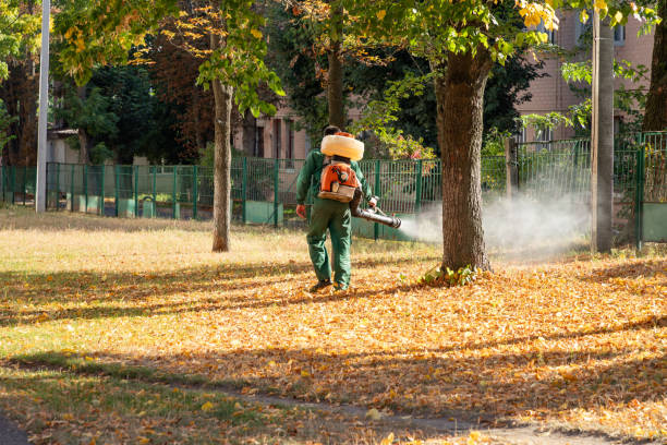 Best Bird Control  in Oildale, CA